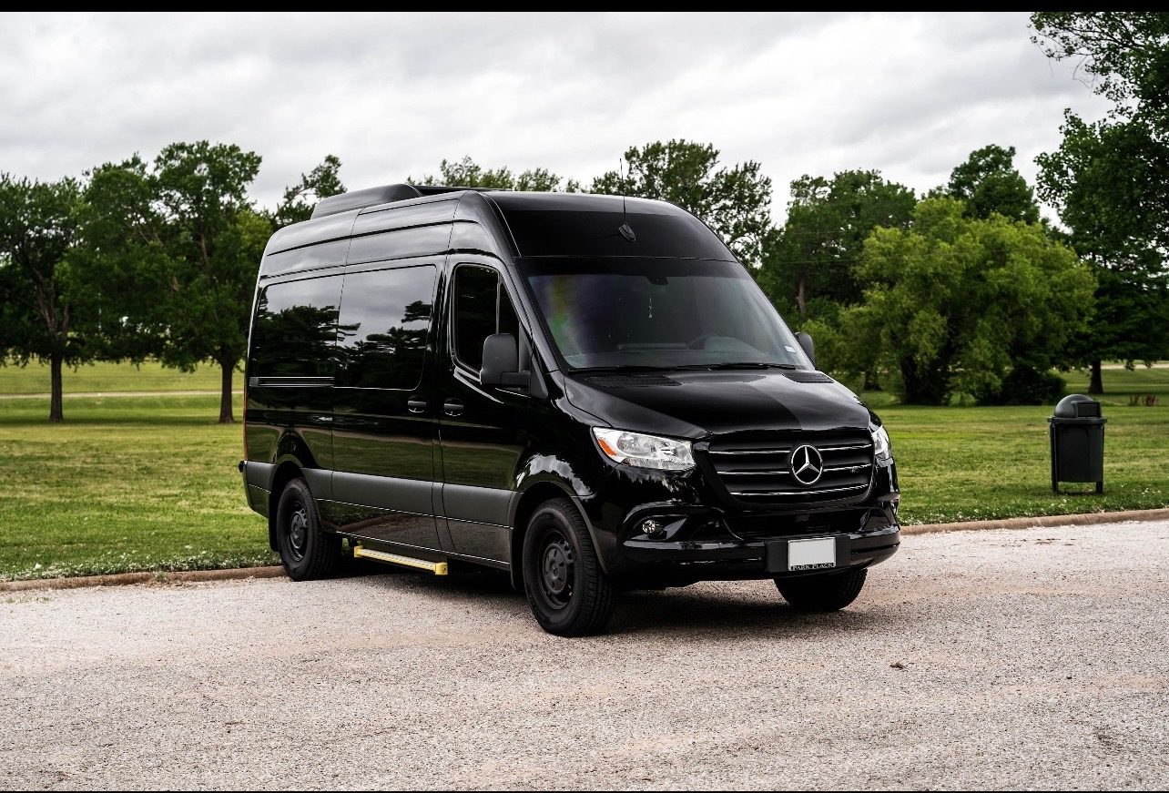 Black Sprinter parked in a green park setting